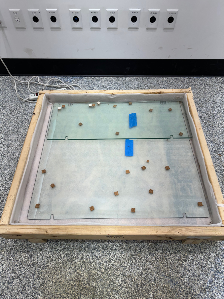 Image of Glass Paneling